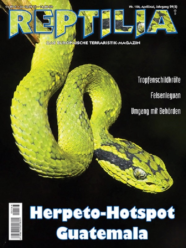 reptilia_166_herpeto-hotspot_guatemala_1994179255