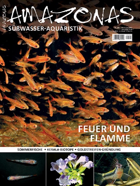amazonas_102_-_feuersalmler_und_funkensalmler_im_aquarium