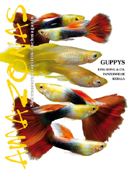 amazonas_34_guppys