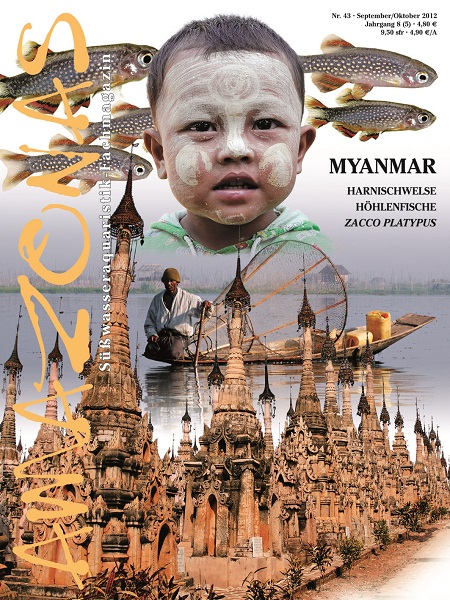 amazonas_43_myanmar