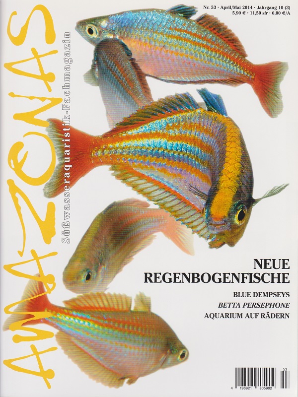 amazonas_53_neue_regenbogenfische_1648236823