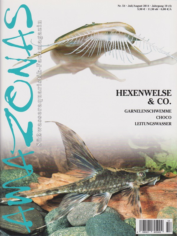 amazonas_54_hexenwelse