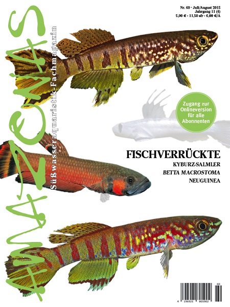 amazonas_60_fischverrueckte