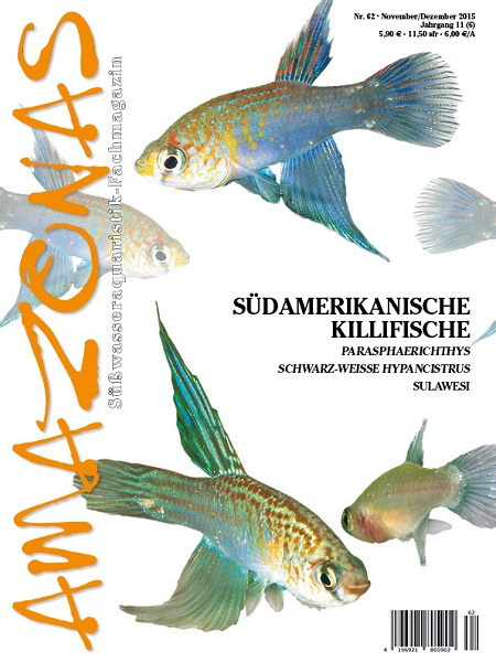 amazonas_62_suedamerikanische_killifische