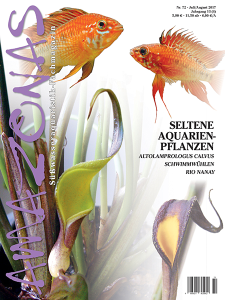 amazonas_72_seltene_aquarienpflanzen