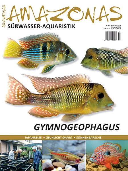 Amazonas Nr. 88 – Gymnogeophagus (digital)