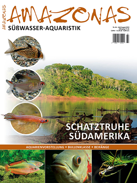 amazonas_nr__84_-_die_unglaubliche_fischfauna_suedamerikas