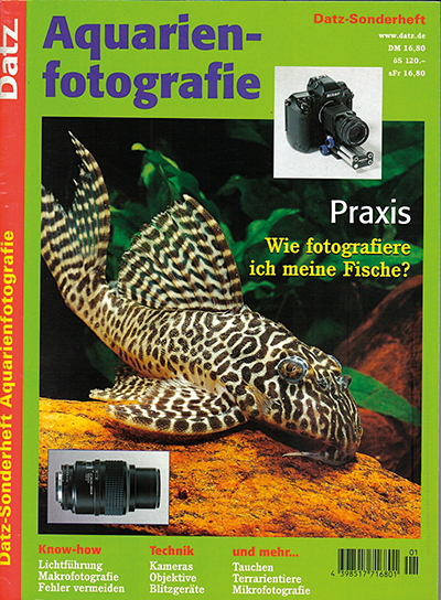 aquarienfotografie