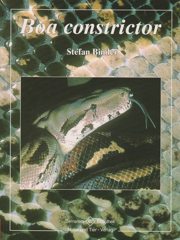 boa_constrictor_2047319156