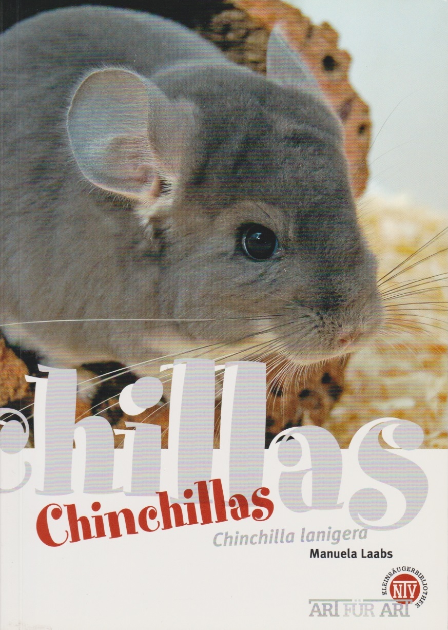 chinchillas_chinchilla_lanigera