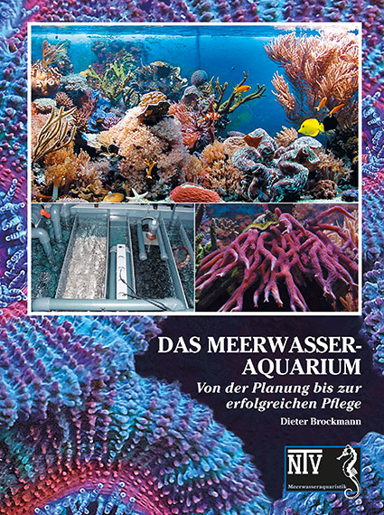 das_meerwasseraquarium