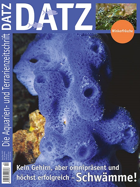 datz_-_4-2025_-_schwaemme_-_die_gattung_porifera_im_aquarium_1639654293