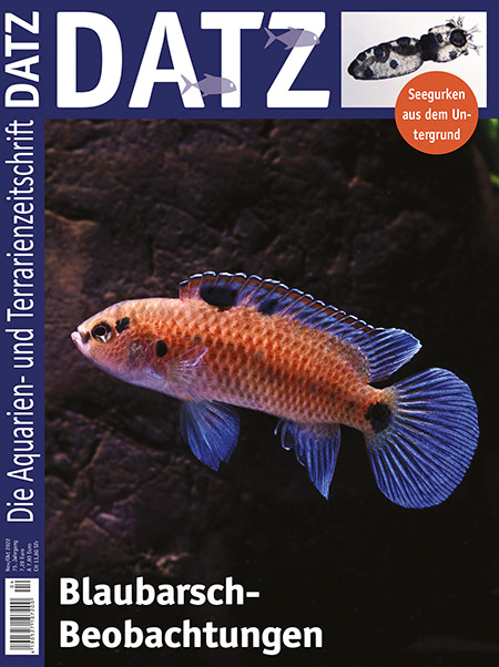 datz_05-2022_blaubarsch-beobachtungen