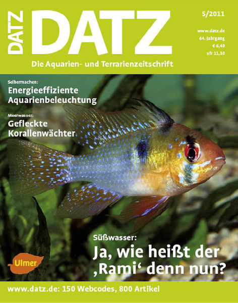 datz_0511_c