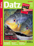 datz_0806