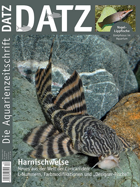 datz_1-2016_harnischwelse