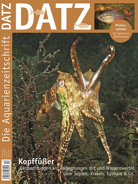 datz_10-2018_kopffuesser