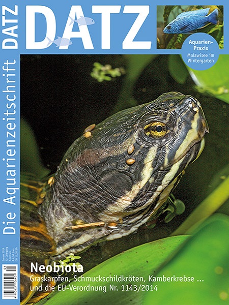 datz_1_2019_neobiota