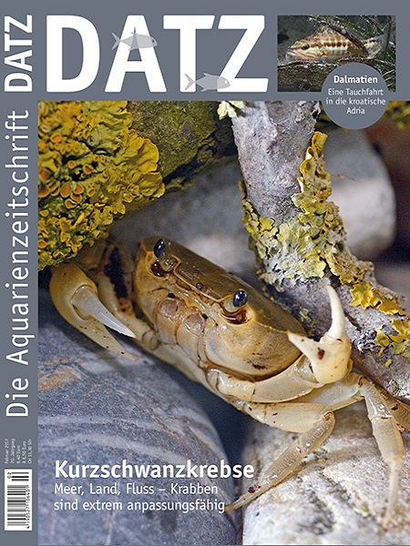 datz_2-2017_kurzschwanzkrebse