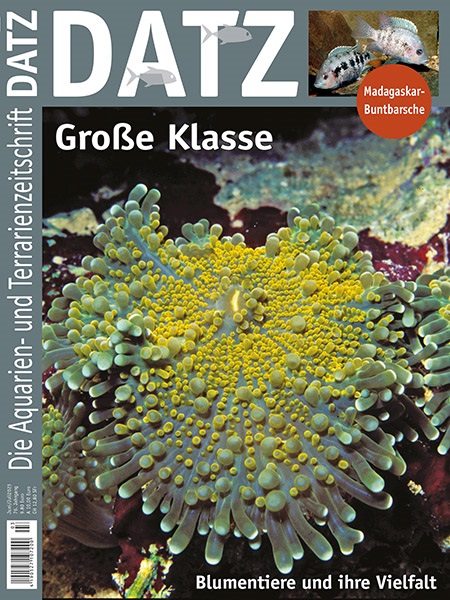 datz_3-2023_blumentiere