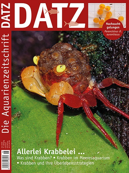 datz_6-2018-allerlei-krabbelei