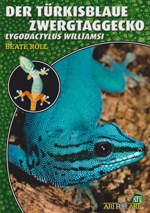 der_tuerkisblaue_zwergtaggecko_lygodactylus_williamsi