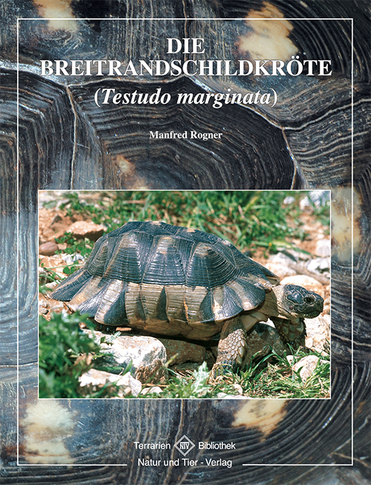 die_breitrandschildkroete_9783937285467_cover