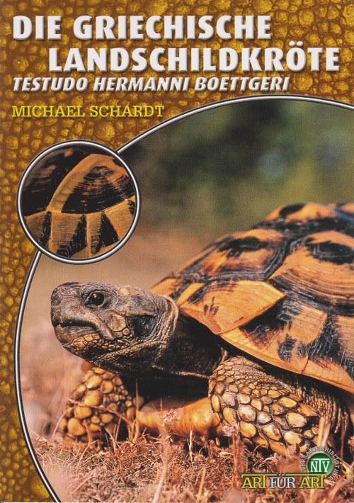 die_griechische_landschildkroete