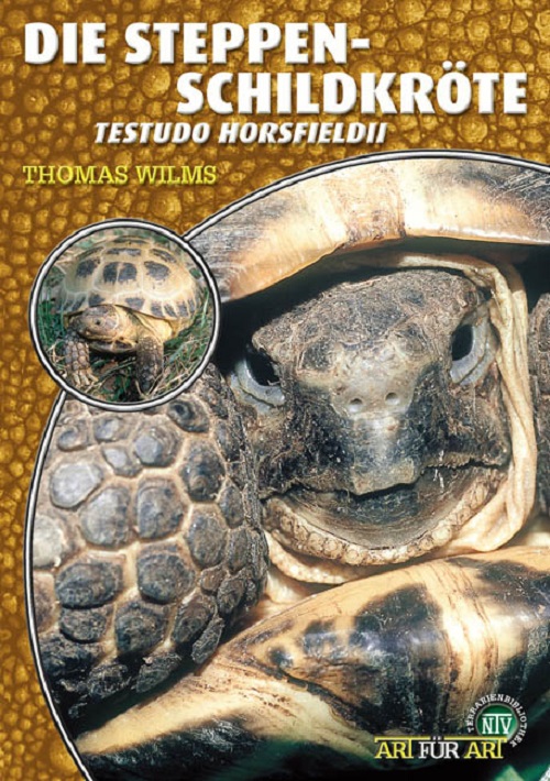 die_steppenschildkroete_239067287