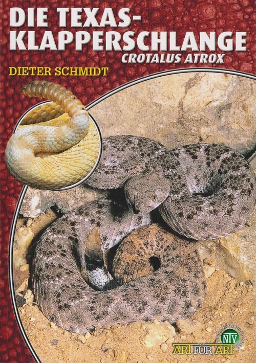 die_texas-klapperschlange_crotalus_atrox