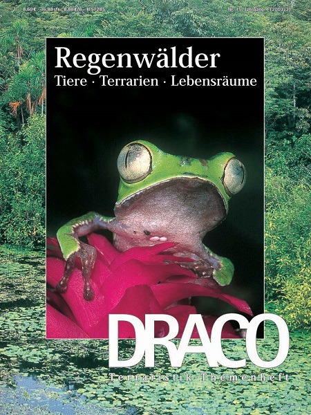 draco_15_regenwaelder