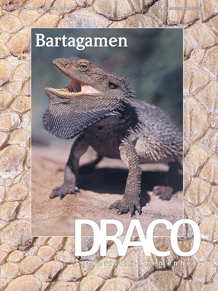 draco_22_bartagamen