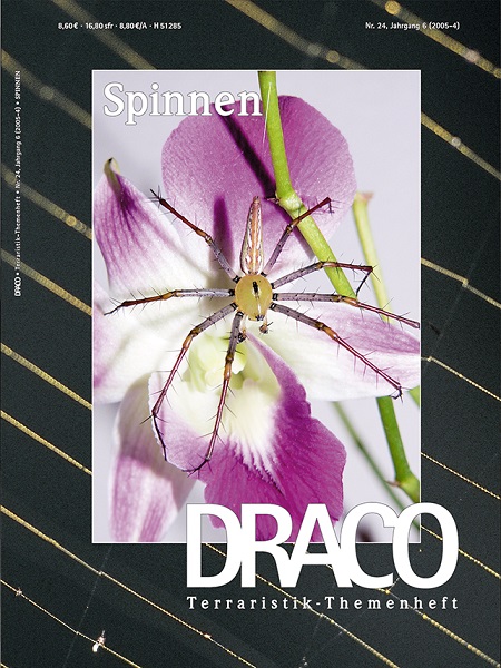 draco_24_spinnen