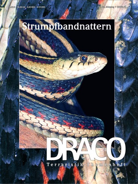 draco_25_strumpfbandnattern