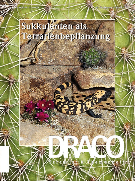 draco_62_sukkulenten_als_terrarienbepflanzung
