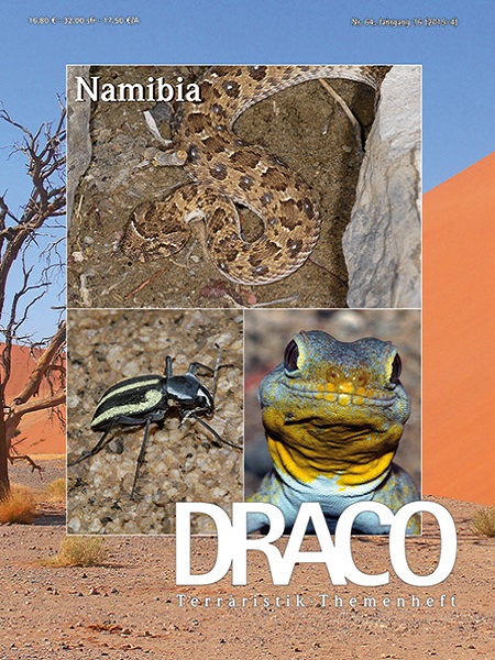 draco_64_namibia
