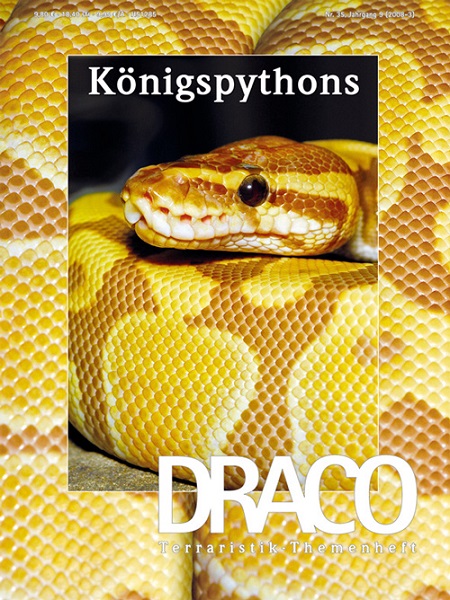draco_nr__35_-_koenigspythons_im_terrarium_halten_und_vermehren