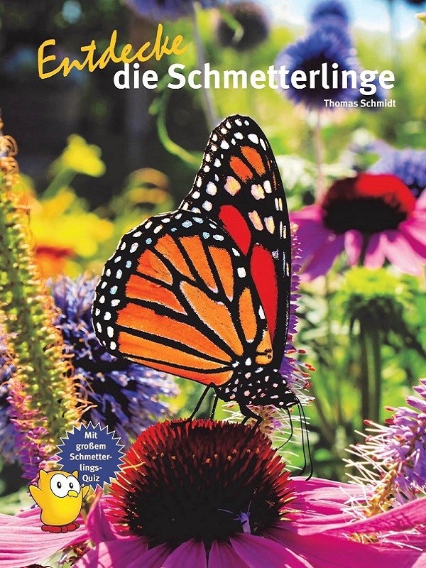 entdecke_die_schmetterlinge_1331887973