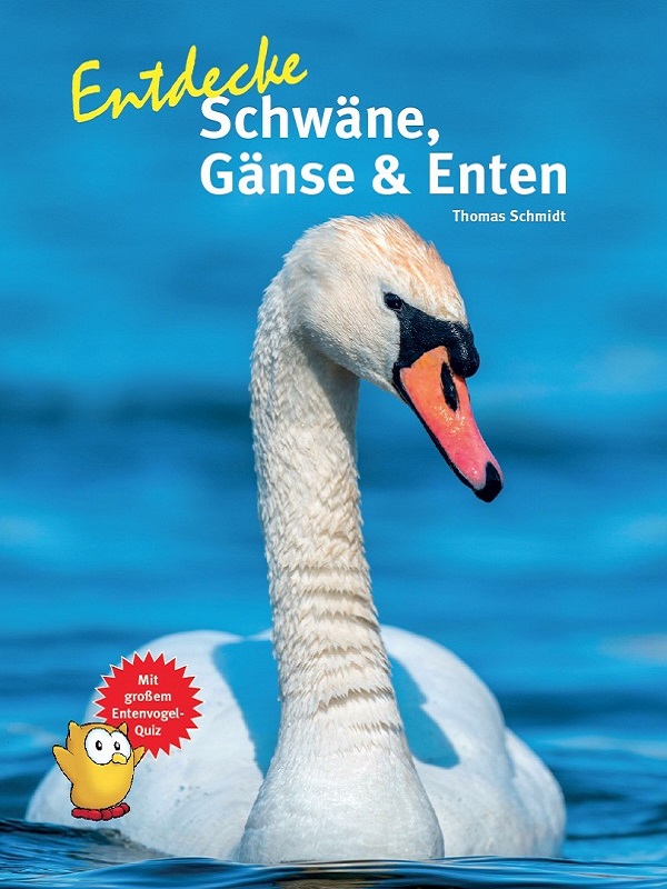 entdecke_schwaene_gaense_und_enten_25016768