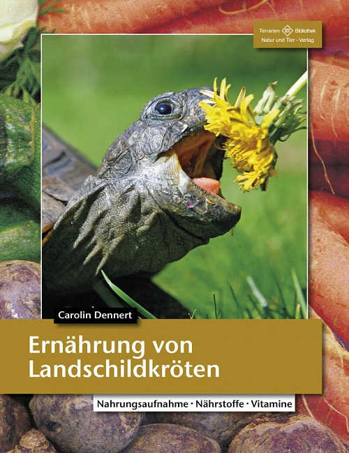 ernaehrung_von_landschildkroeten