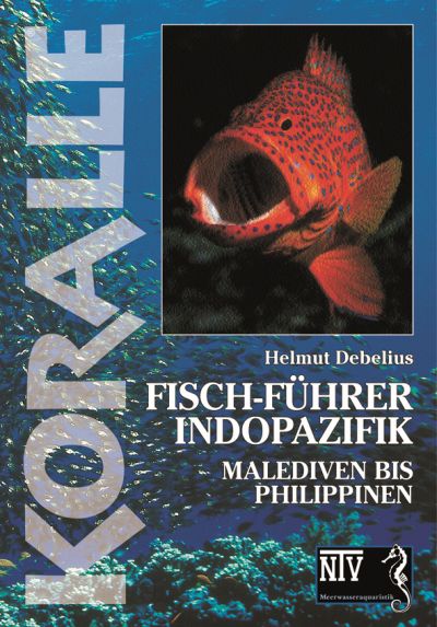 Fisch-Führer Indopazifik - Melediven bis Philippinen