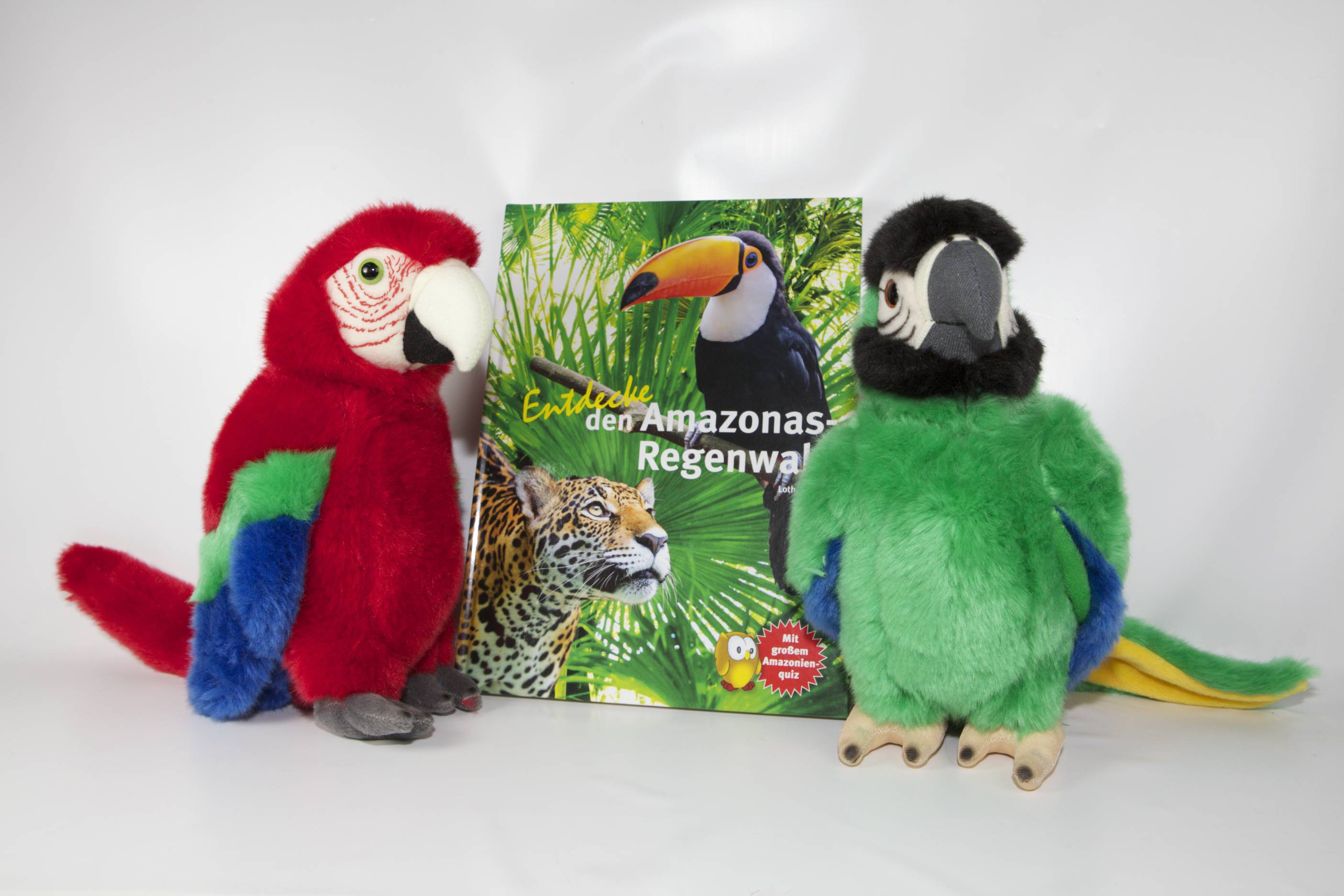 Roter und grüner Papagei