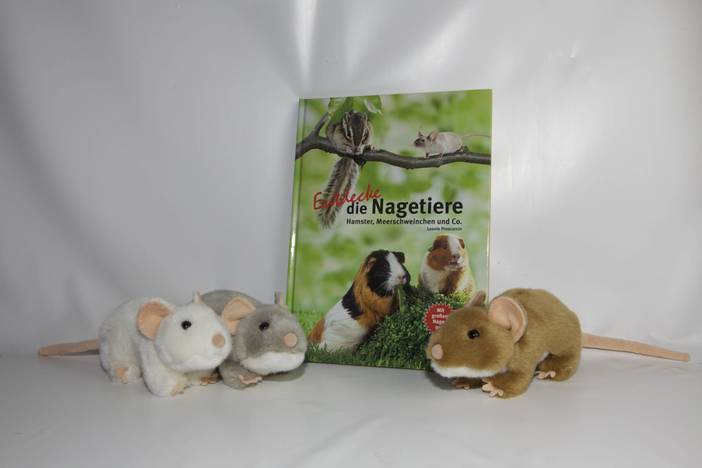 Plüschtier Mäuse mit Buch