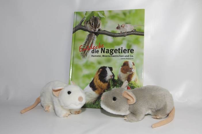 Plüschtier Mäuse mit Buch