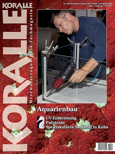koralle_108_aquarienbau
