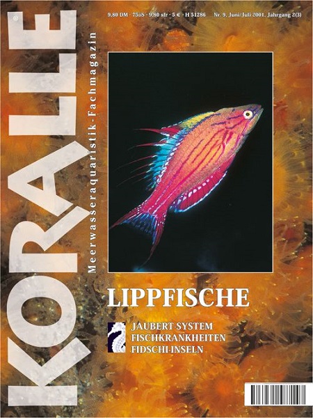 koralle_10_lippfische