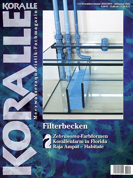 koralle_114_filterbecken