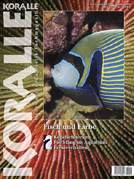 koralle_117_fisch_und_farbe