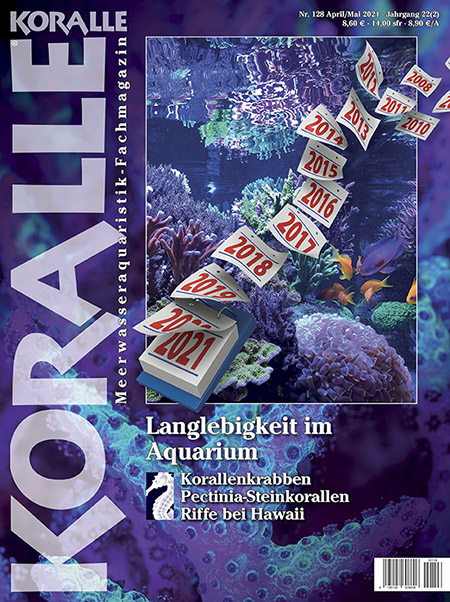 koralle_128_langlebigkeit_im_aquarium
