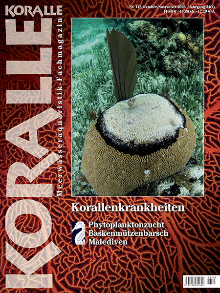 koralle_143_korallenkrankheiten